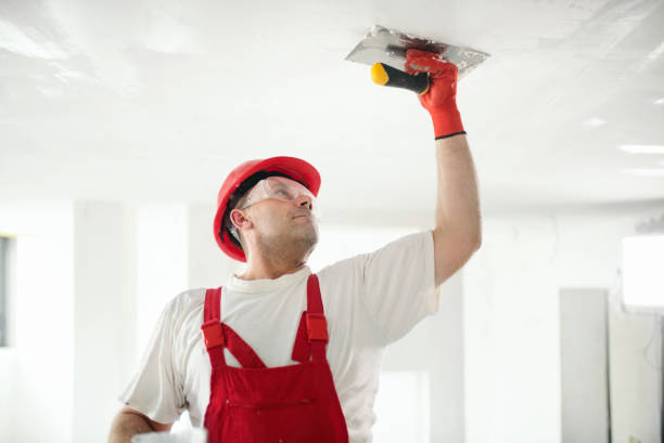 Best Trim and Molding Painting  in Stockton, IL