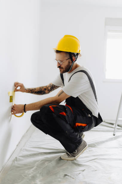 Best Drywall Sanding and Smoothing  in Stockton, IL